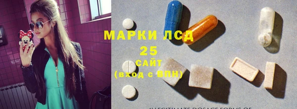 соль ск Богородицк