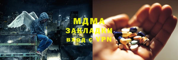 ГАЛЛЮЦИНОГЕННЫЕ ГРИБЫ Богданович