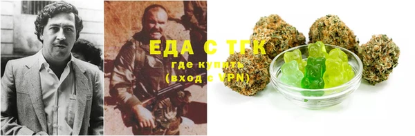 ГАЛЛЮЦИНОГЕННЫЕ ГРИБЫ Богданович