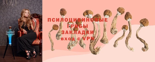 Альфа ПВП Богородск