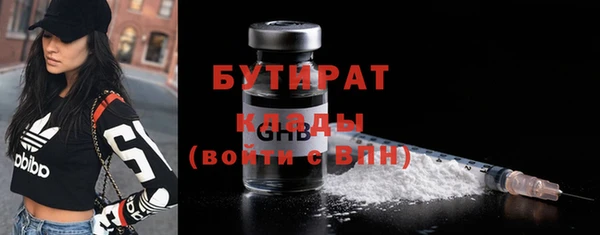 ГАЛЛЮЦИНОГЕННЫЕ ГРИБЫ Богданович