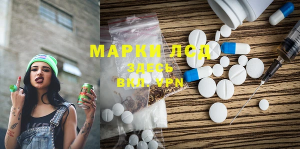ГАЛЛЮЦИНОГЕННЫЕ ГРИБЫ Богданович