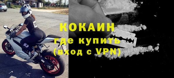 ГАЛЛЮЦИНОГЕННЫЕ ГРИБЫ Богданович
