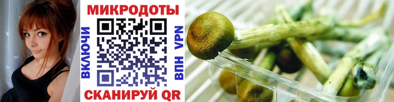 Псилоцибиновые грибы Cubensis  как найти закладки  ссылка на мегу tor  Новый Уренгой 